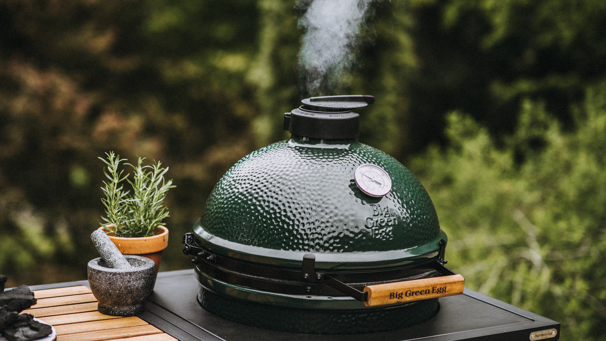 Price of a big green egg best sale