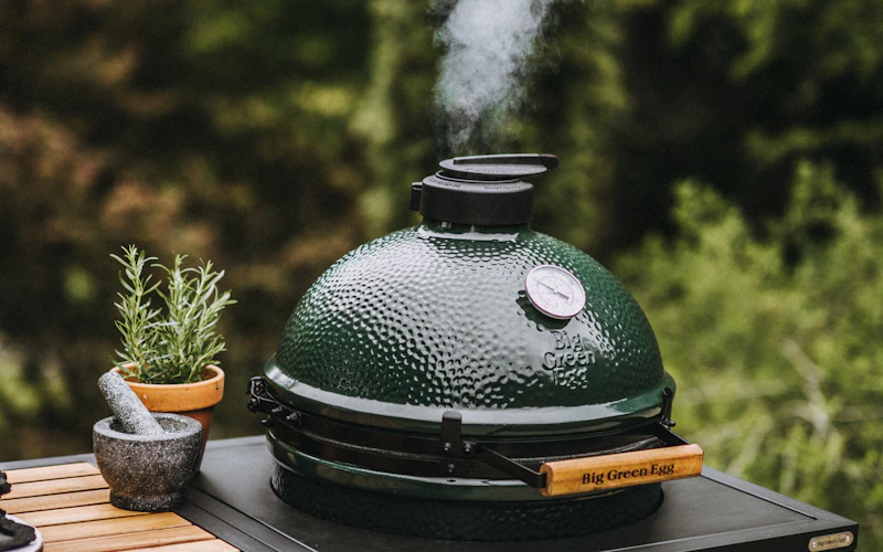 Large Big Green Egg smoking
