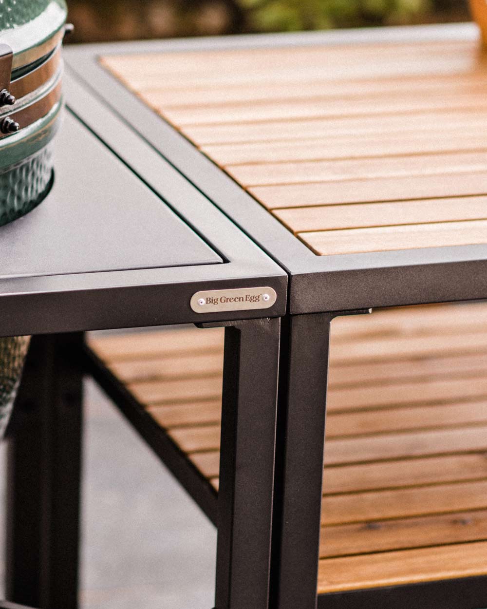 Large Big Green Egg Ex