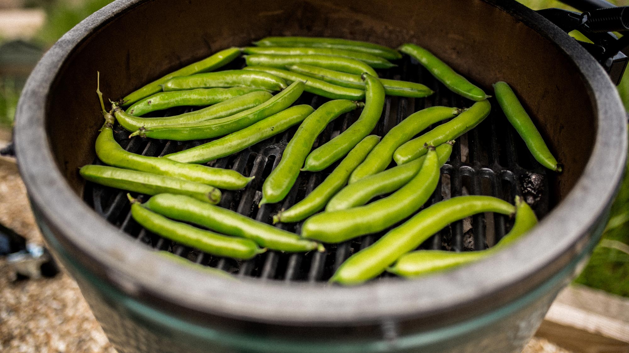 Large Big Green Egg Cast Iron searing grid grilling vegetables