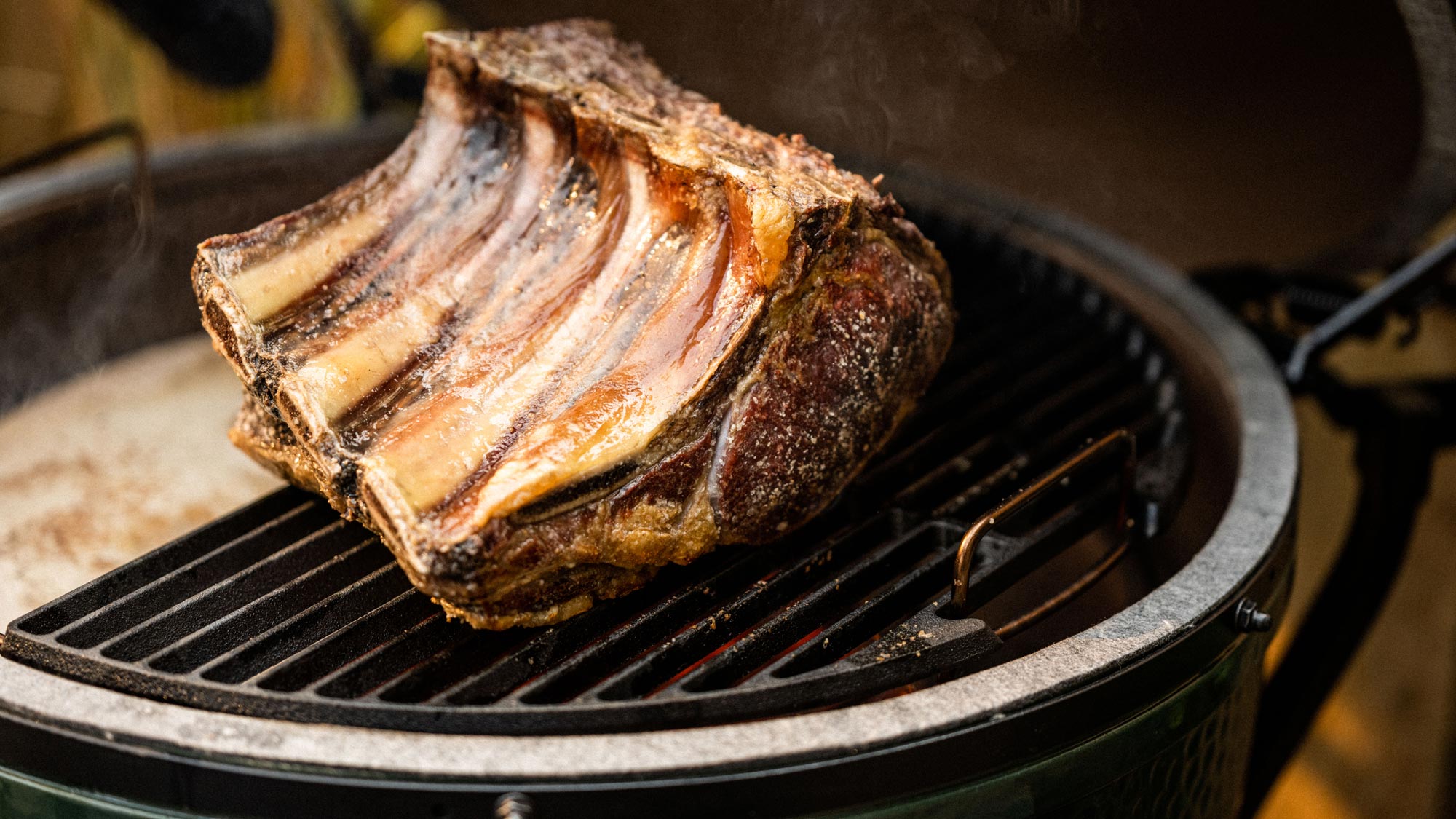 Half Cast Iron Searing Grid For the Large Bigg Green EGGspander System