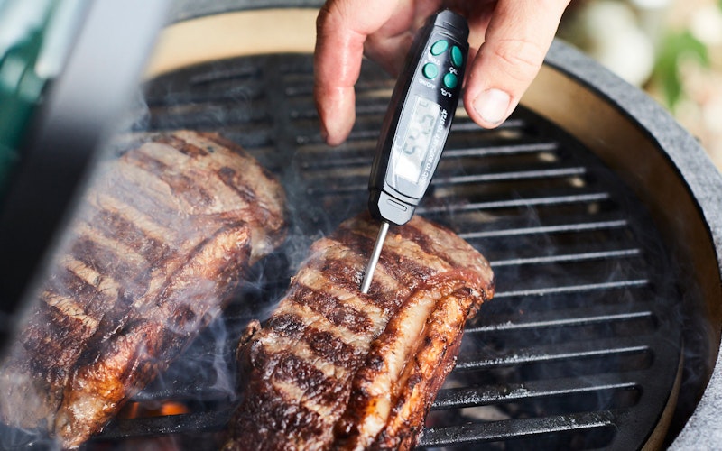 Quick read thermometer