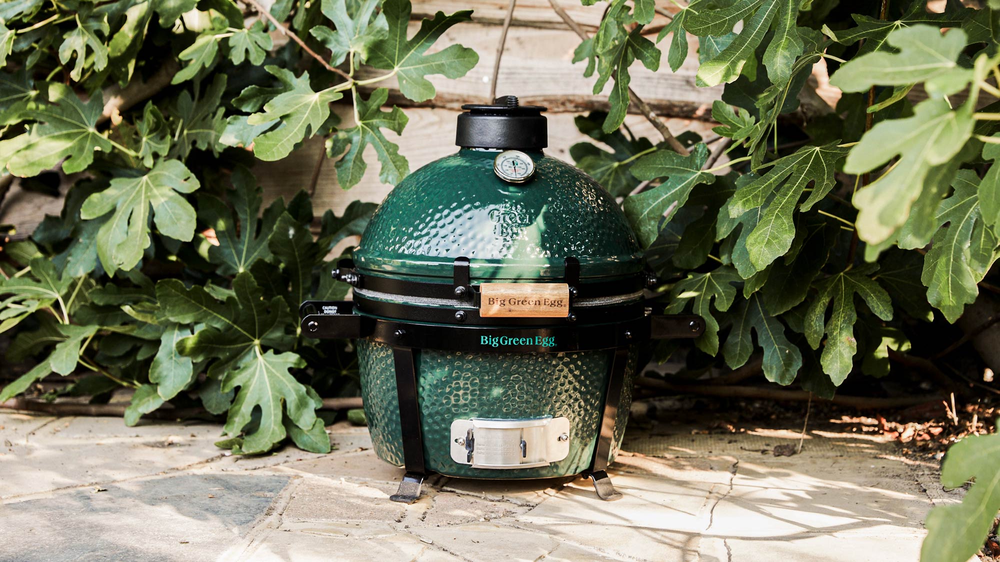 MiniMax Big Green Egg