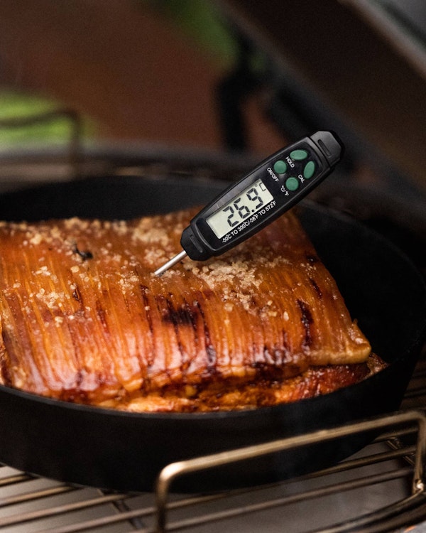 Quick read thermometer