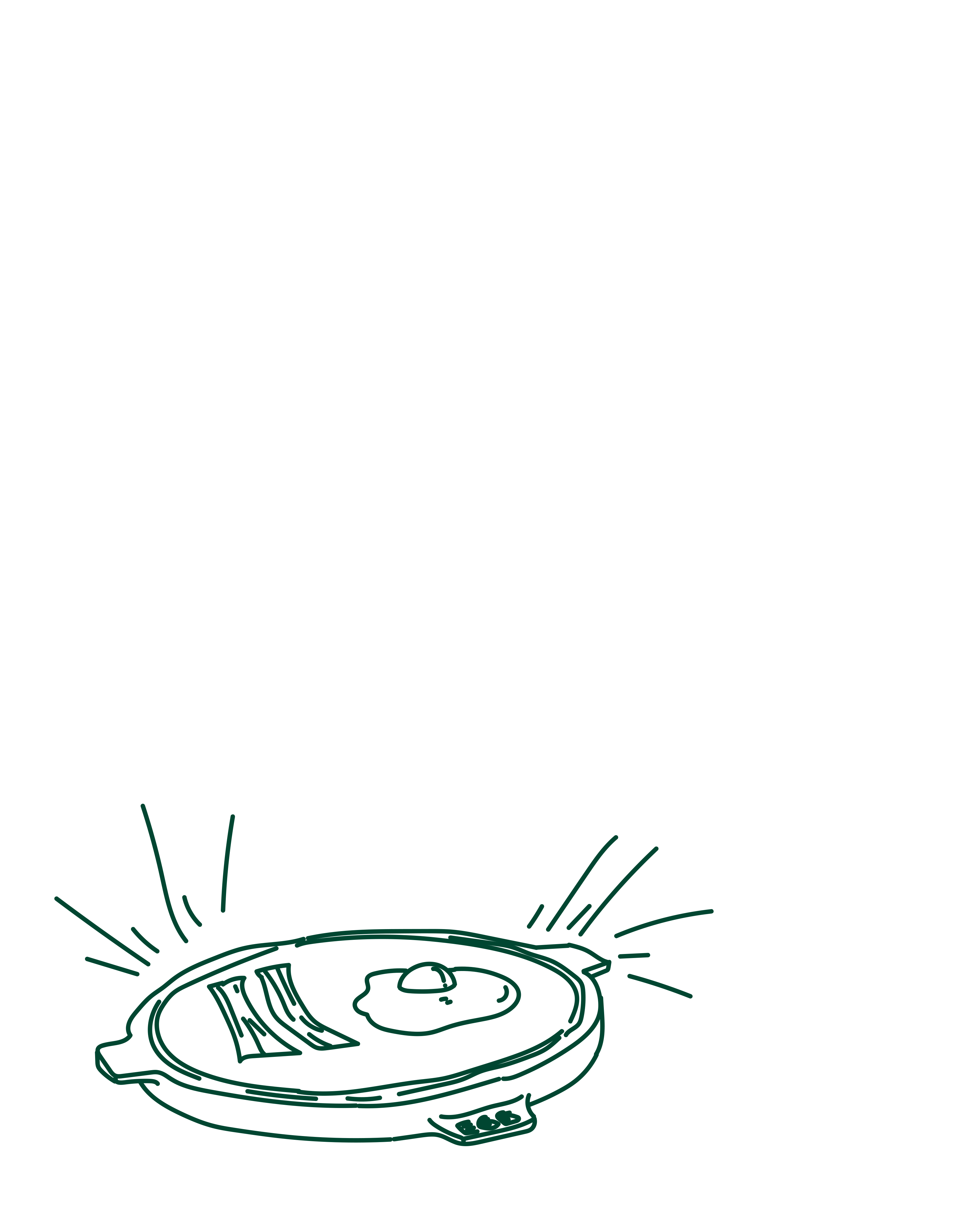 Cooking a la Plancha