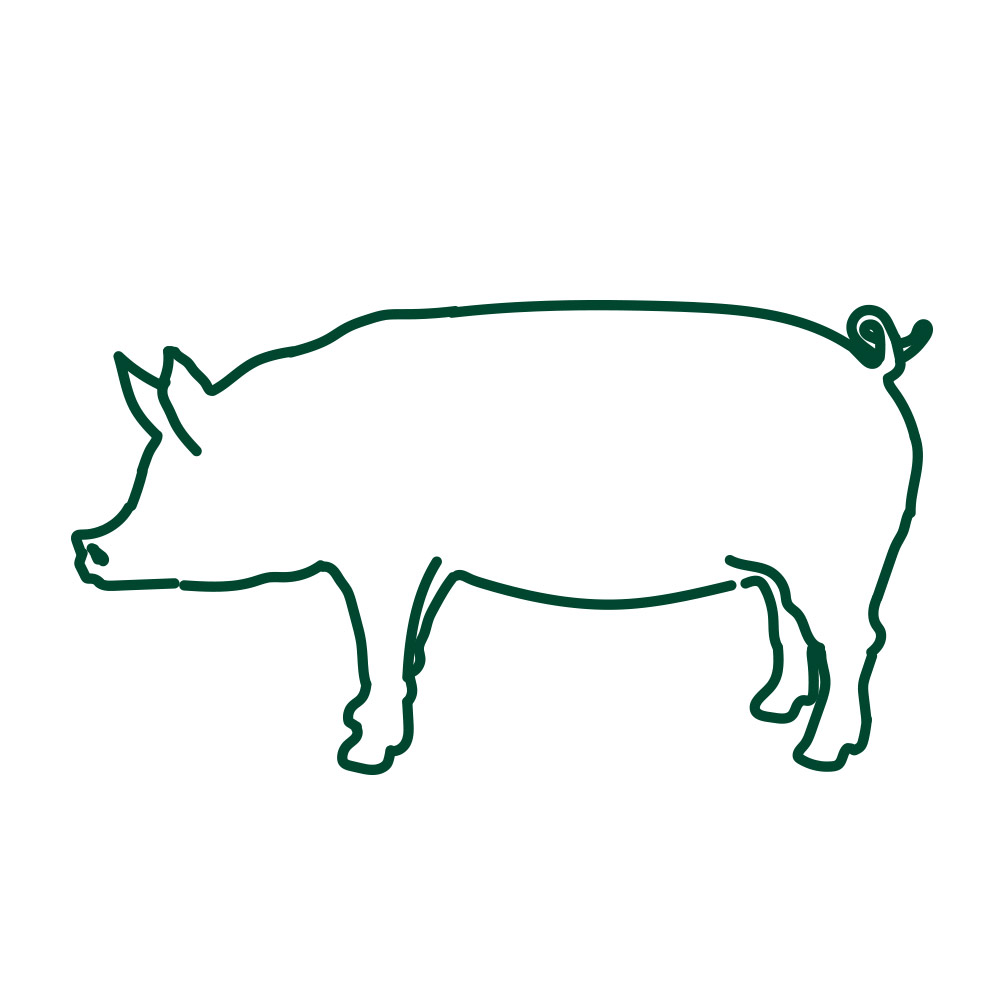 Pork recipes