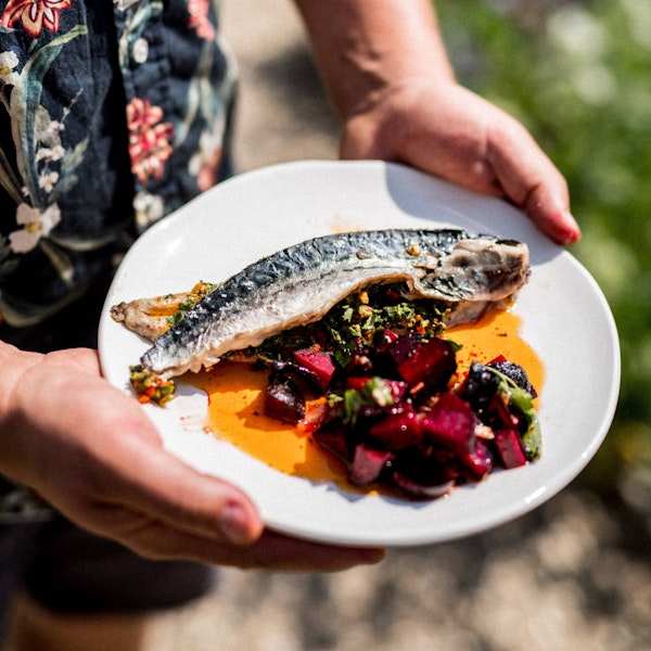 PLANK-COOKED MACKEREL WITH CHERMOULA & MOROCCAN BEETS