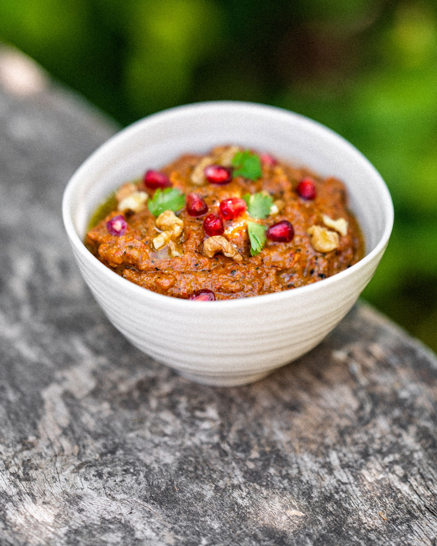 Muhammara | Vegetarian | Dirty cooking | Recipe | Big Green Egg