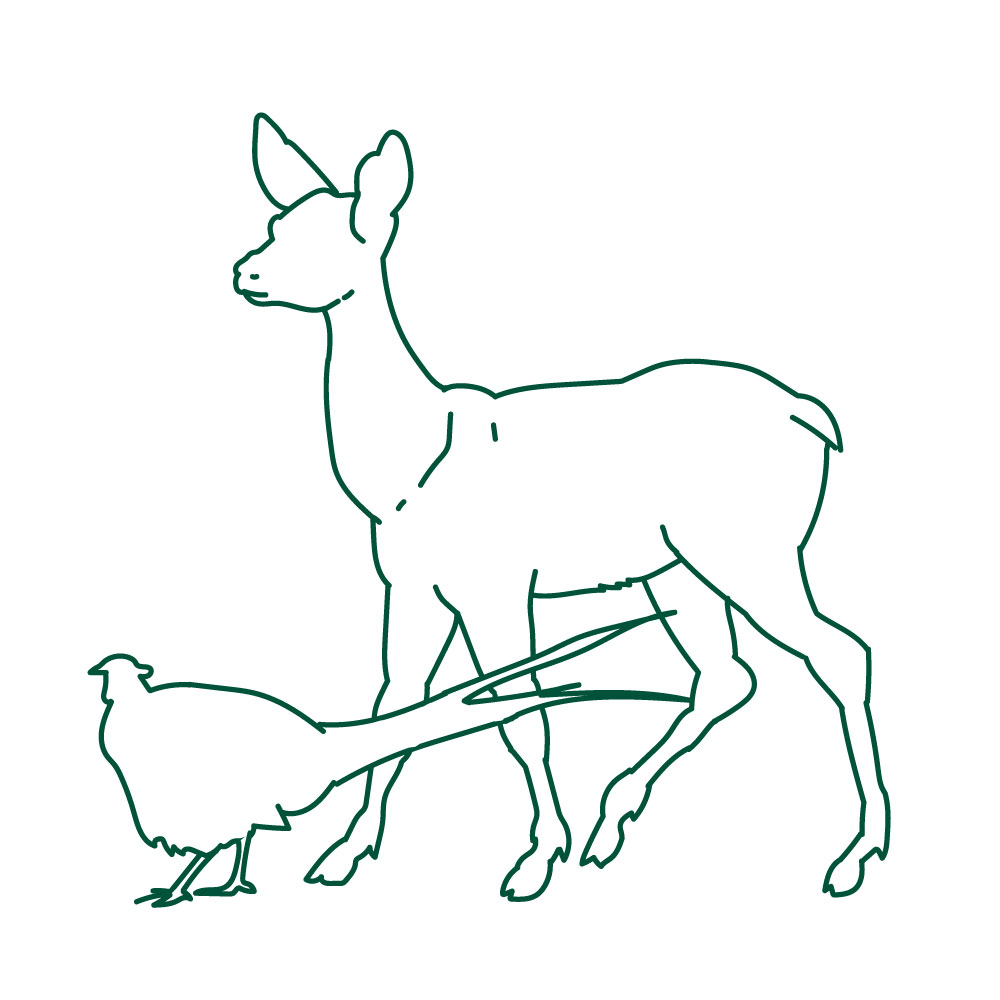 Game Recipes | Ceramic Charcoal BBQs | Big Green Egg