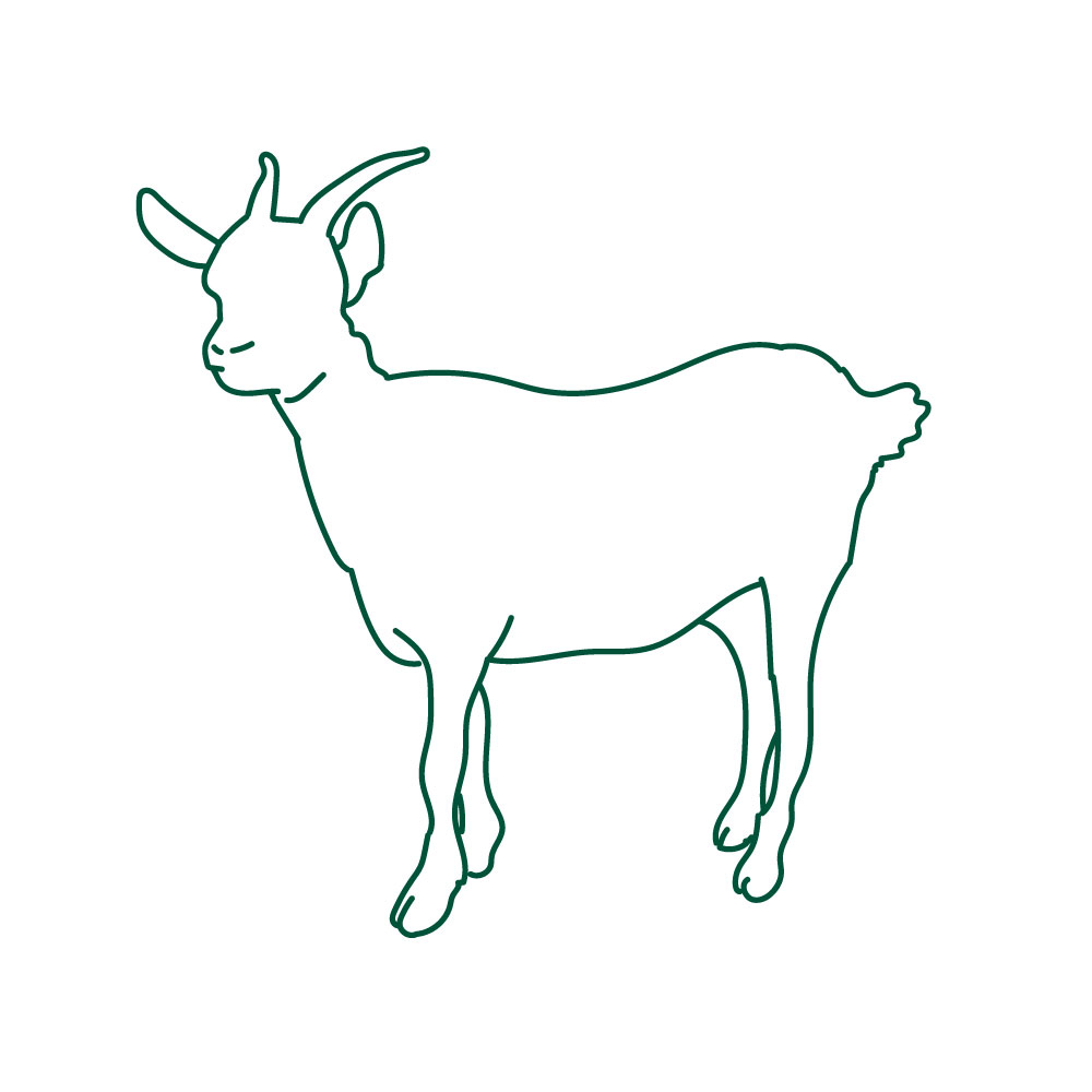 Goat Recipes | Ceramic Charcoal BBQs | Big Green Egg