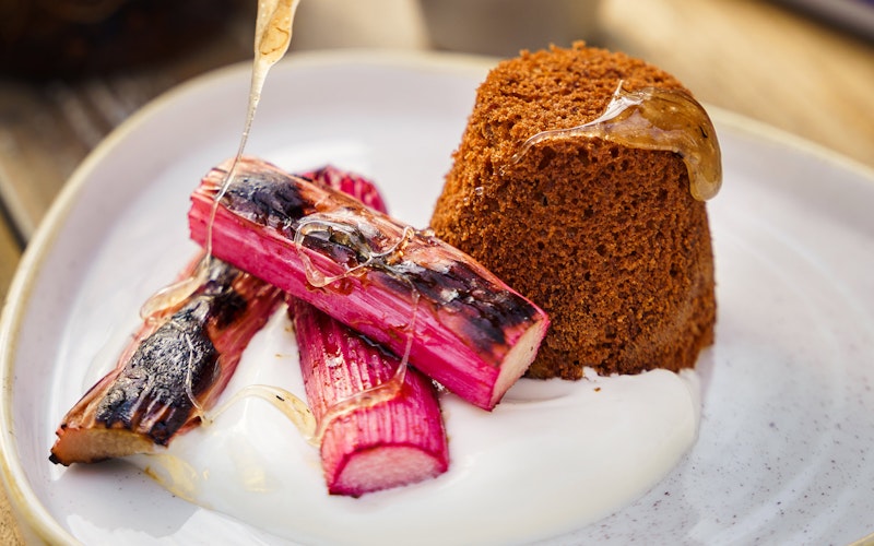 Ginger Sponge with Rhubarb | Grilling | Baking | Sweet recipes | Big Green Eghg