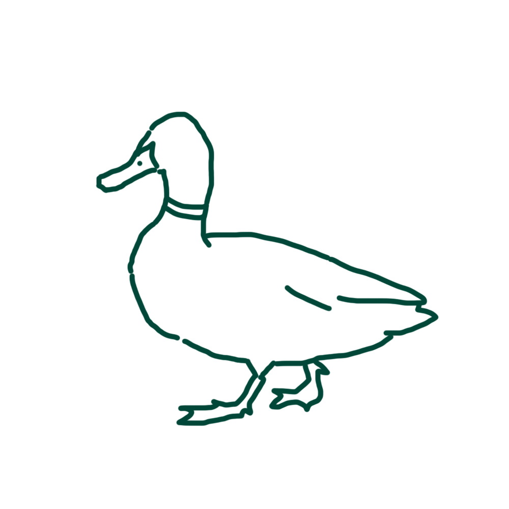 Duck Recipes | Big Green Egg