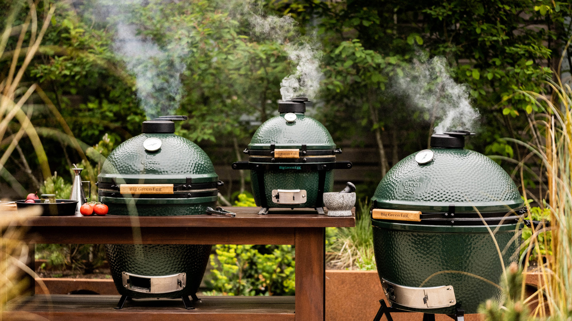 Price of a big green egg hotsell