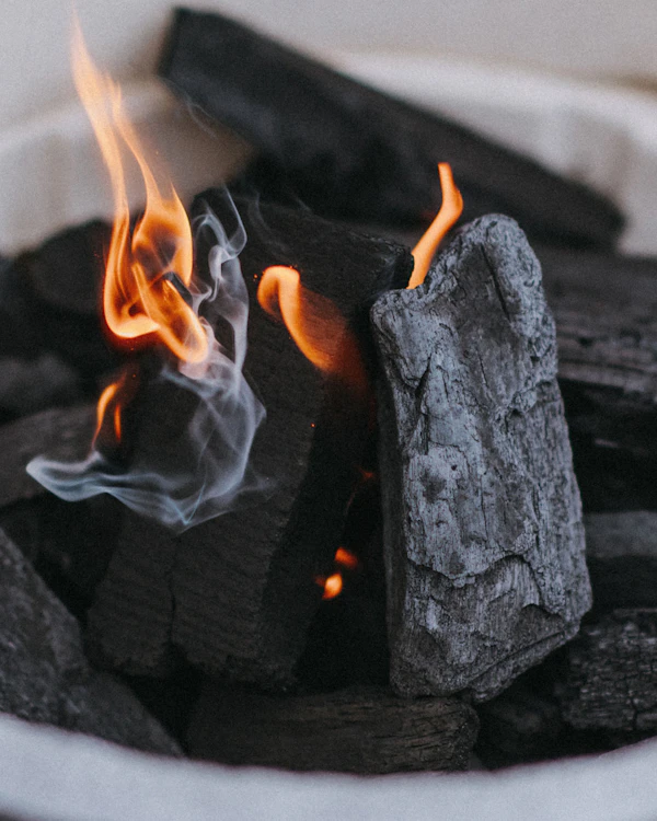 Charcoal | Lumpwood hardwood charcoal from Big Green Egg