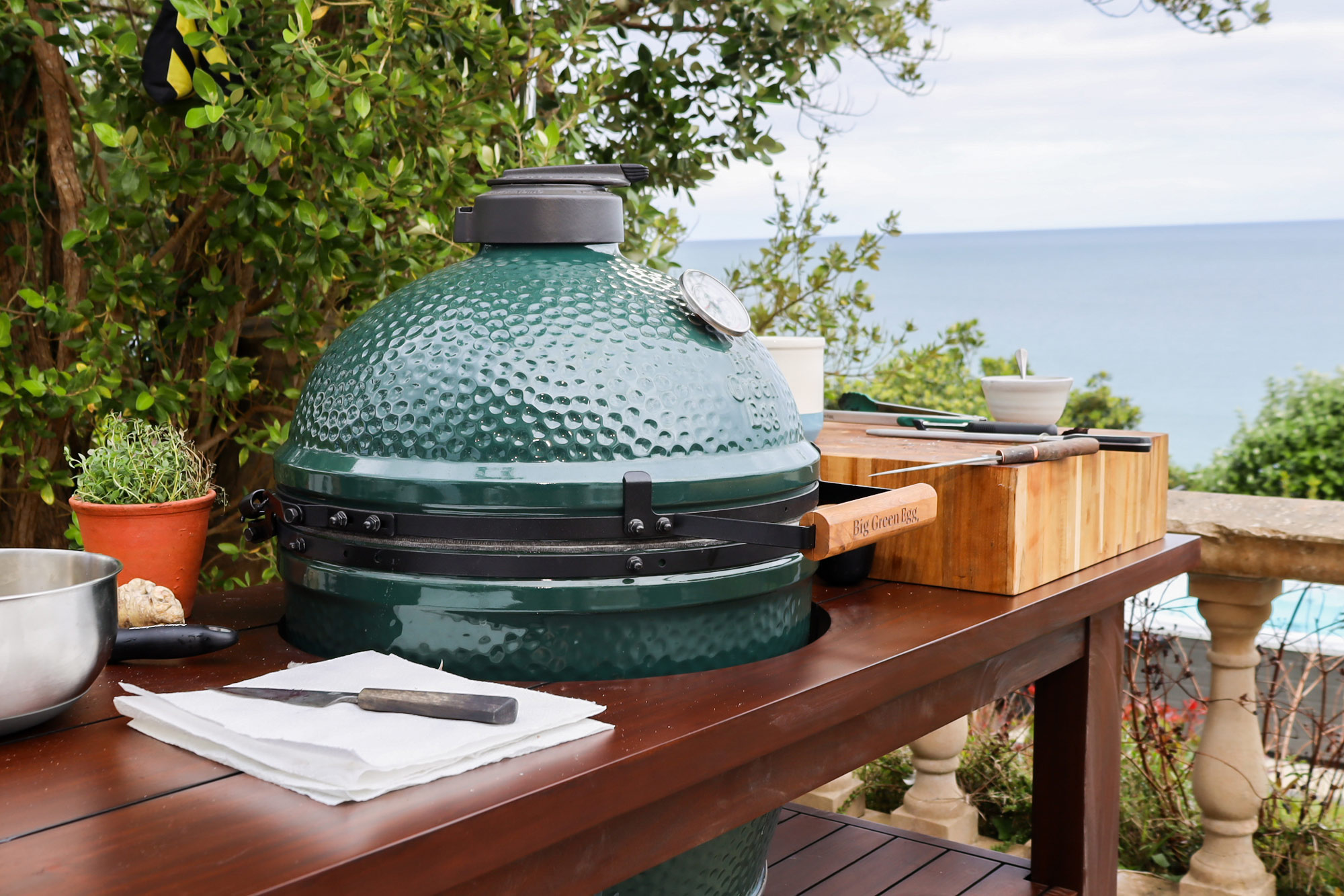 Price of a large green egg best sale