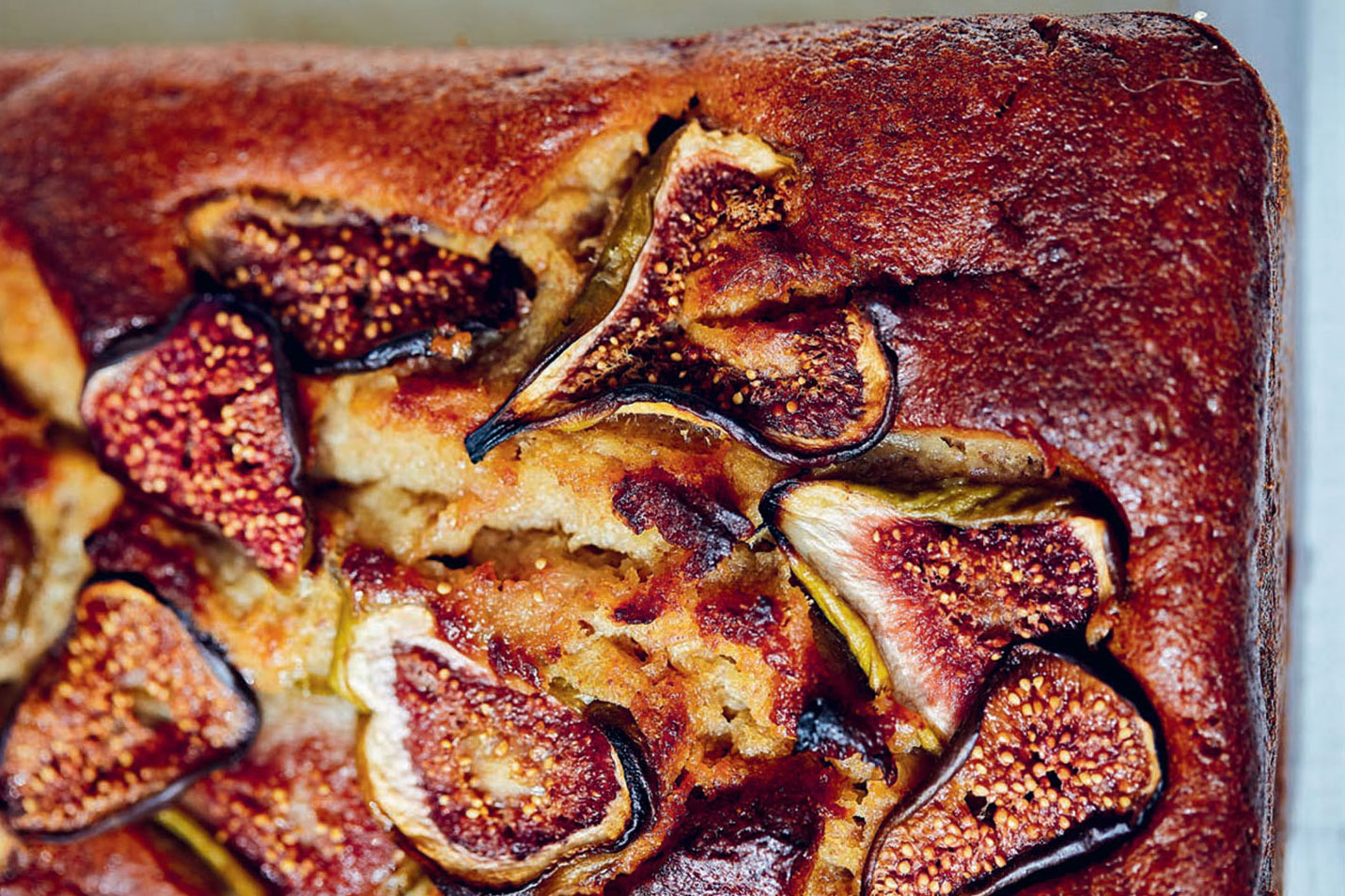 Time and Tide by Emily Scott | Books | Big Green Egg