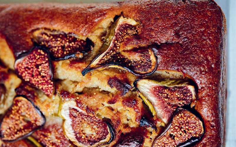 Time and Tide by Emily Scott | Books | Big Green Egg