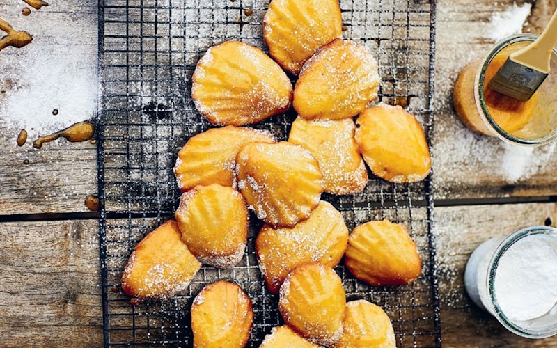 Time and Tide by Emily Scott | Books | Big Green Egg