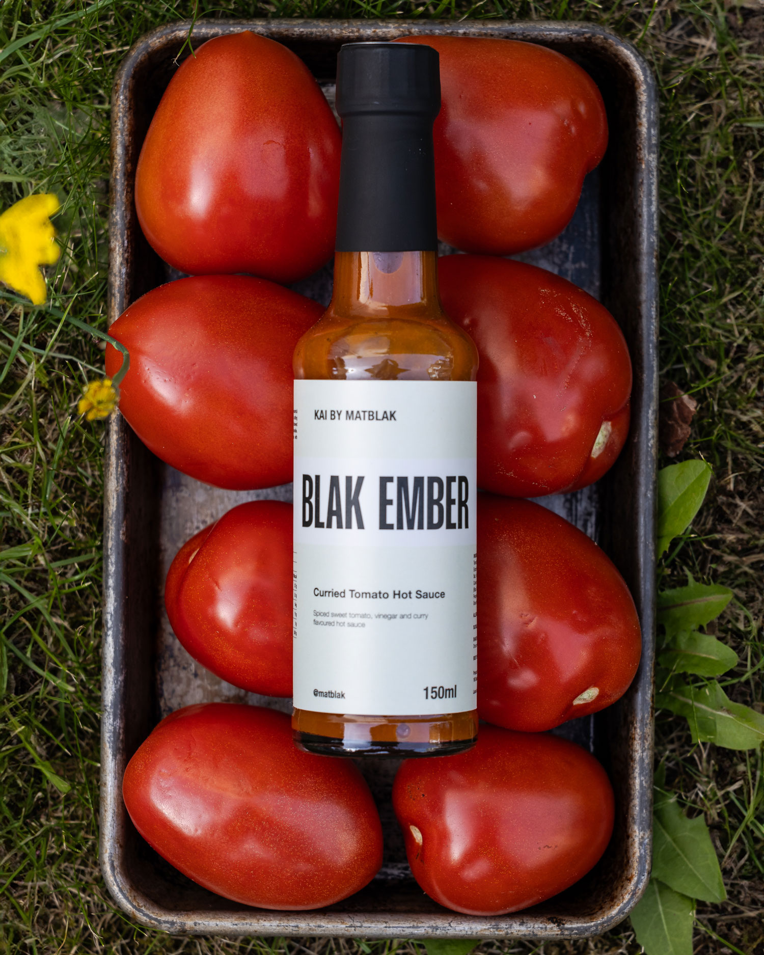 Blak Ember Curried Tomato Hot Sauce | Hot Sauces | Sauces & Rubs | Big Green Egg