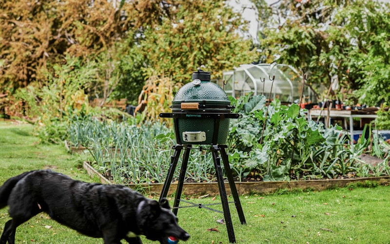 MiniMax Big Green Egg | Portable Charcoal Kamado Barbecue