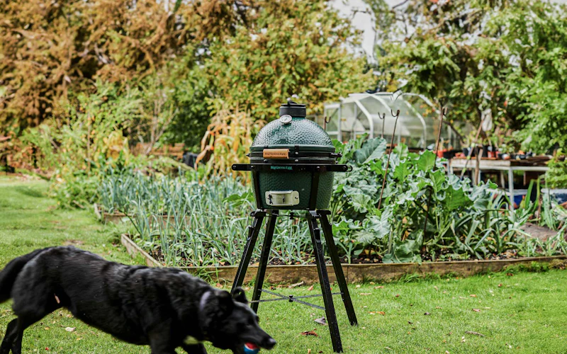 MiniMax Big Green Egg | Portable Charcoal Kamado Barbecue
