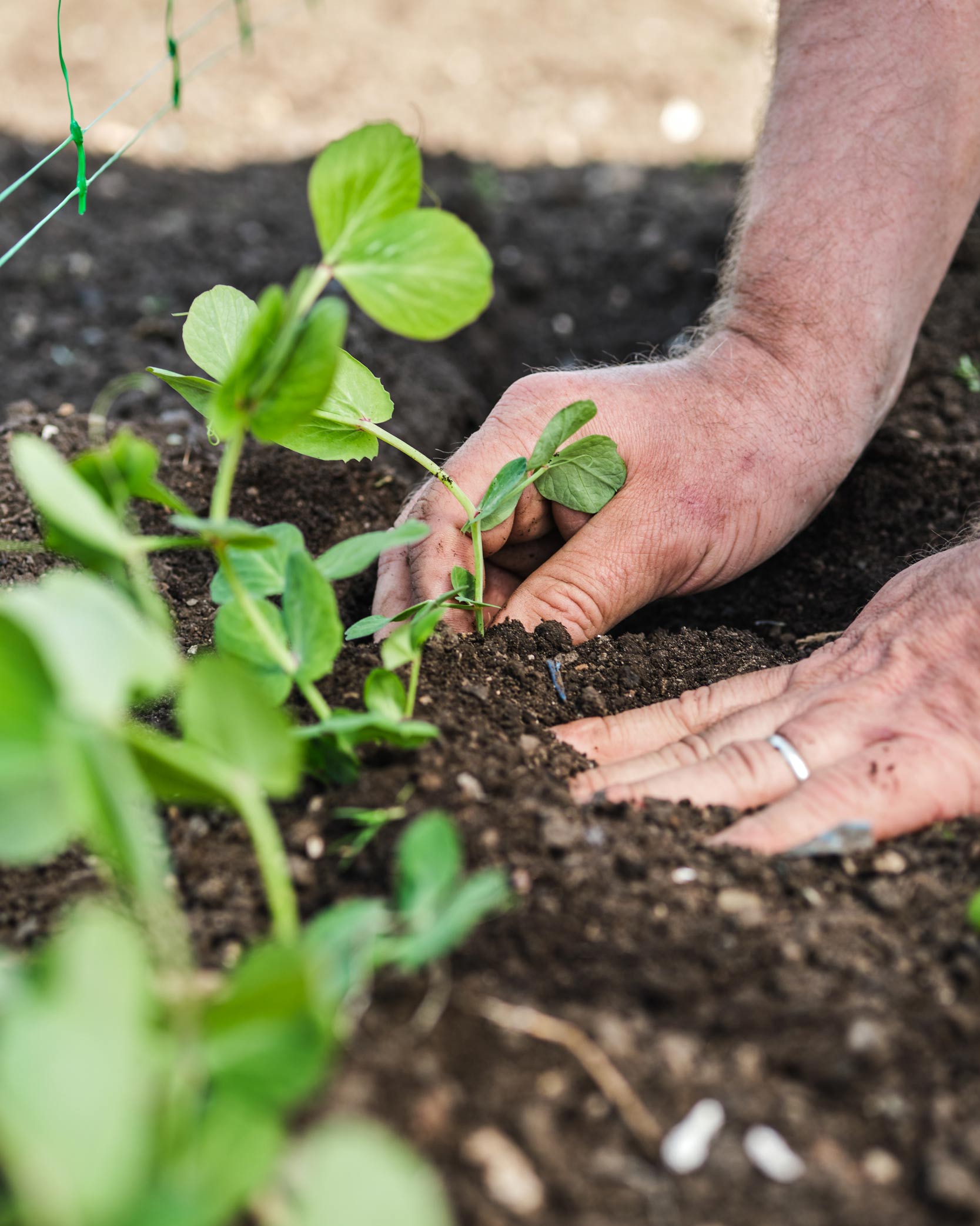 Simon Rogan BBQ BOX prize draw | Competition | Club