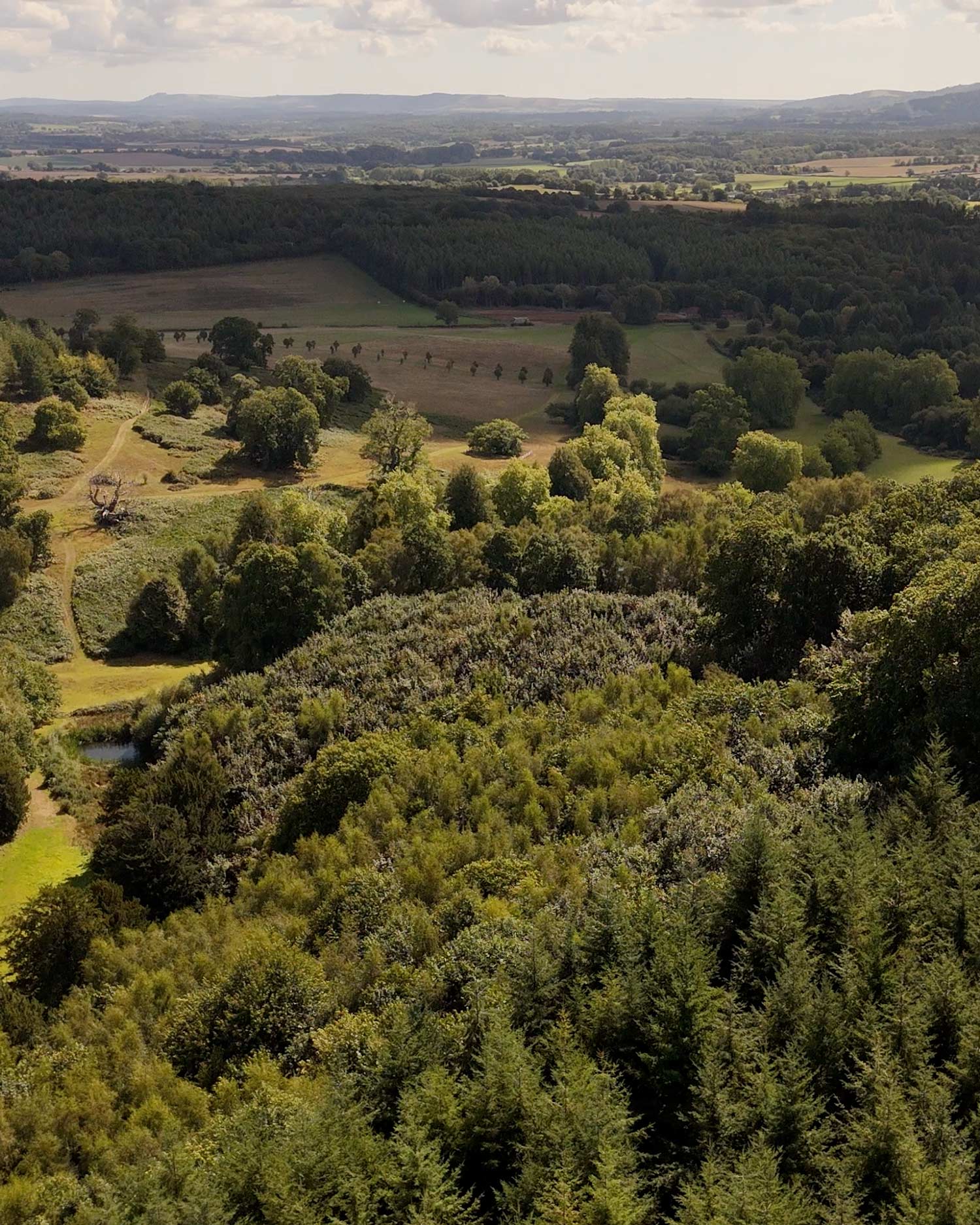 Big Green Egg & Cowdray's Autumn Foraging Experience