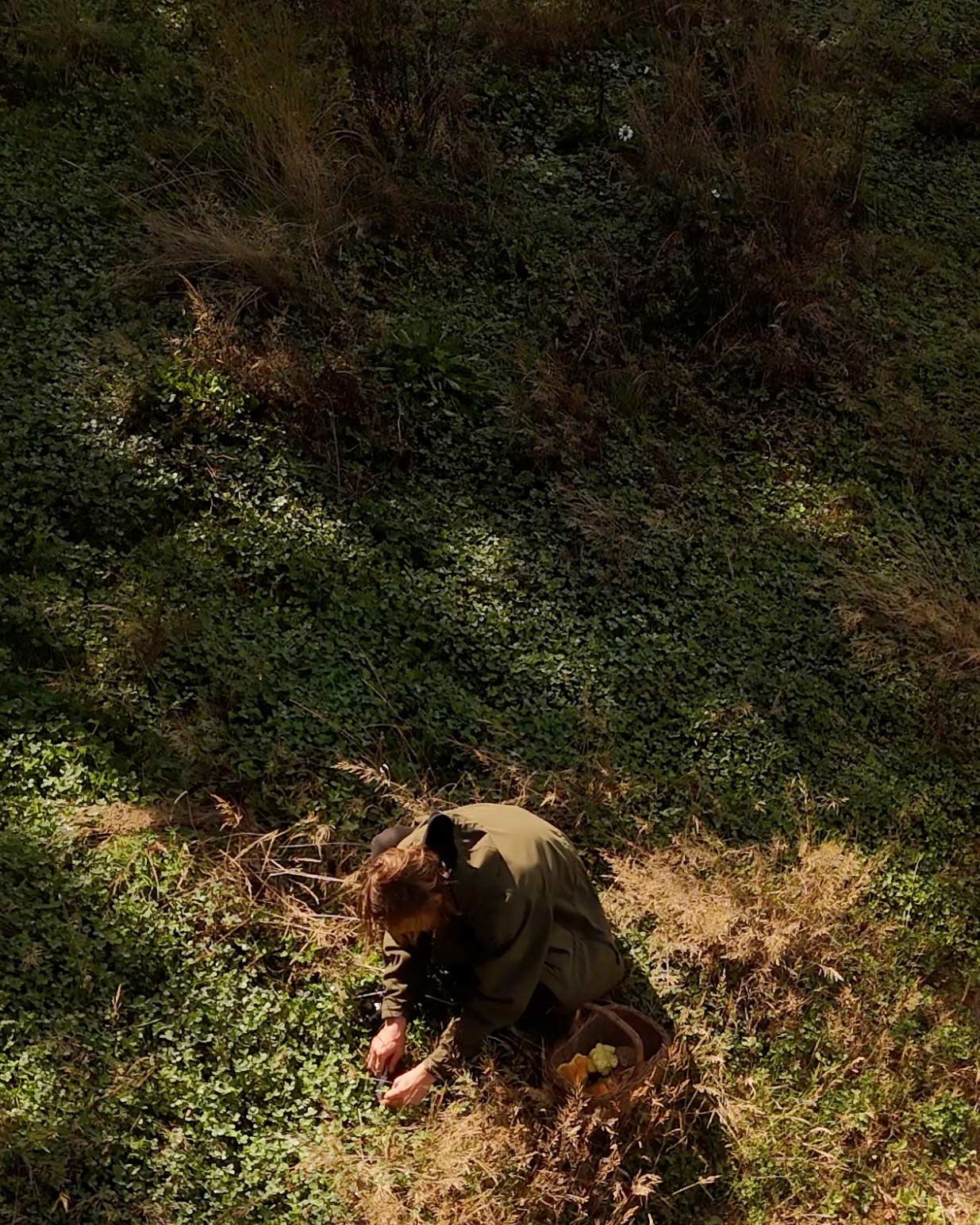 Big Green Egg & Cowdray's Autumn Foraging Experience