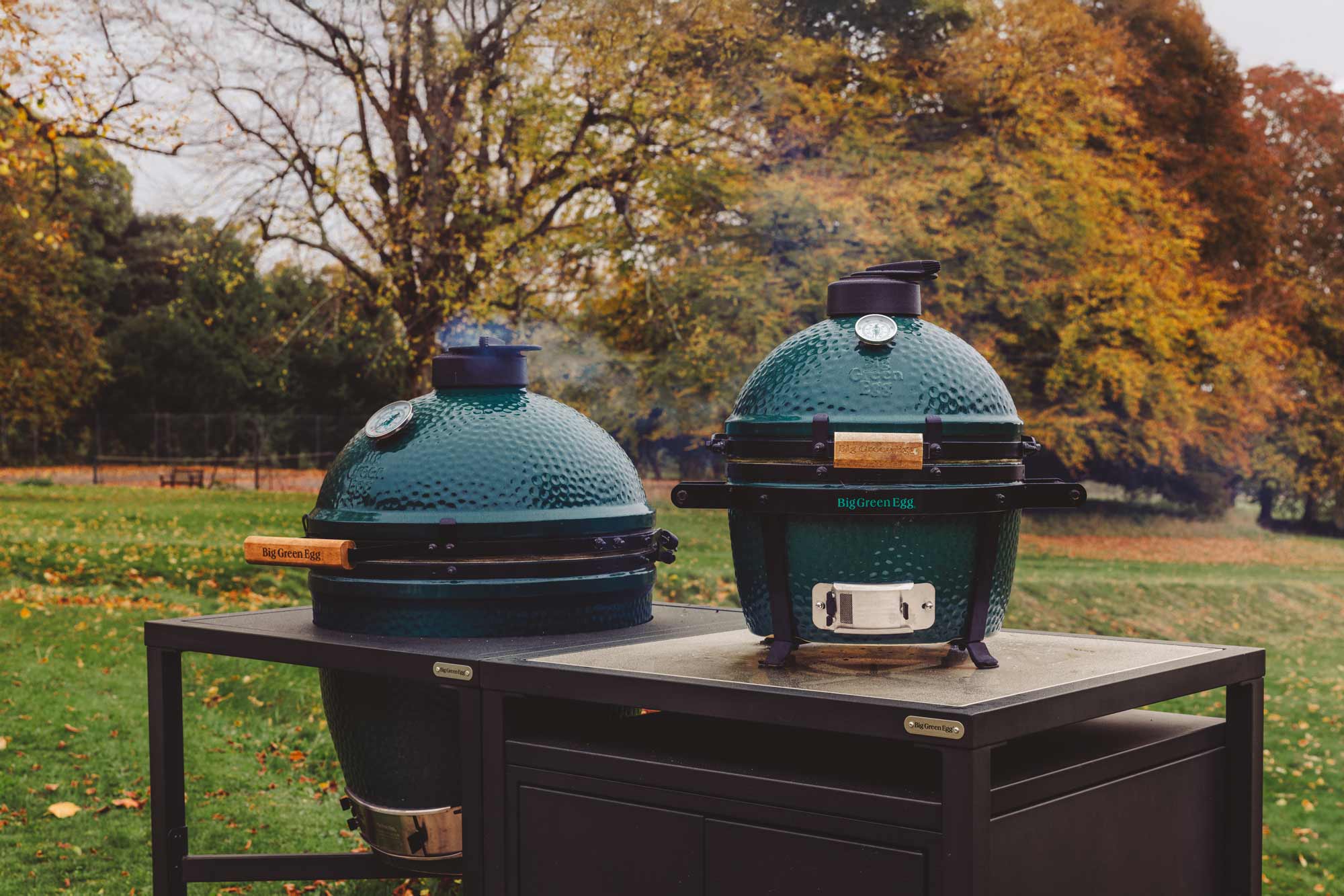 MiniMax Big Green Egg