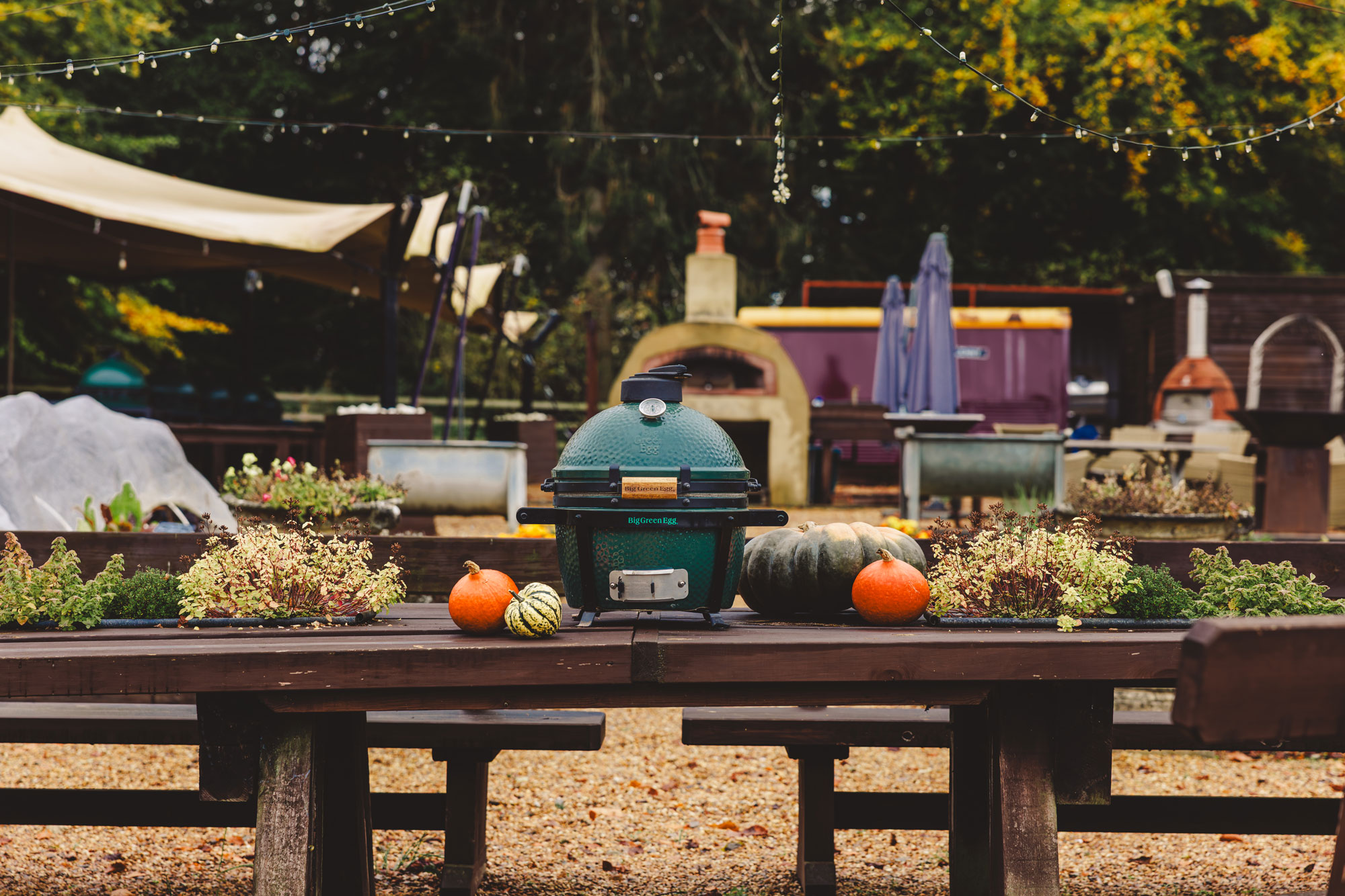 MiniMax Big Green Egg