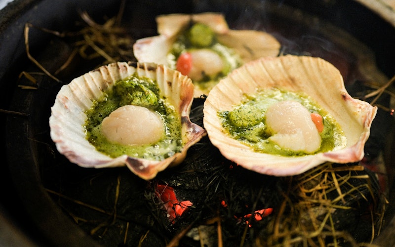 Scallops with Lime and Herb Butter | Tart London and Christmas on the EGG | Dirty cooking | Seafood recipes | Christmas | Big Green Egg