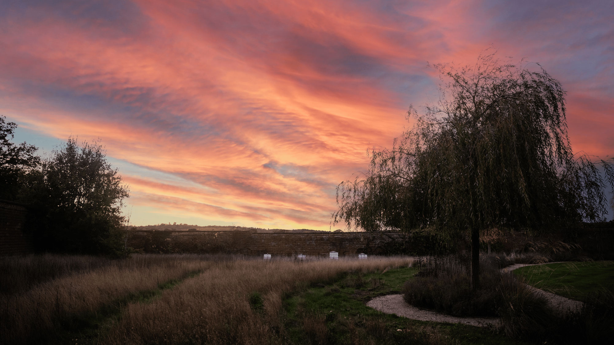 Discovery Sessions @ The Walled Garden | Events and Experiences | Big Green Egg