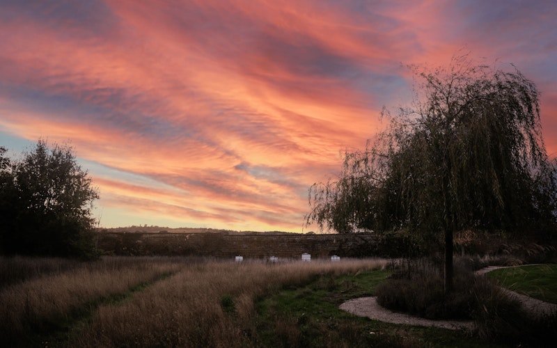 Discovery Sessions @ The Walled Garden | Events and Experiences | Big Green Egg