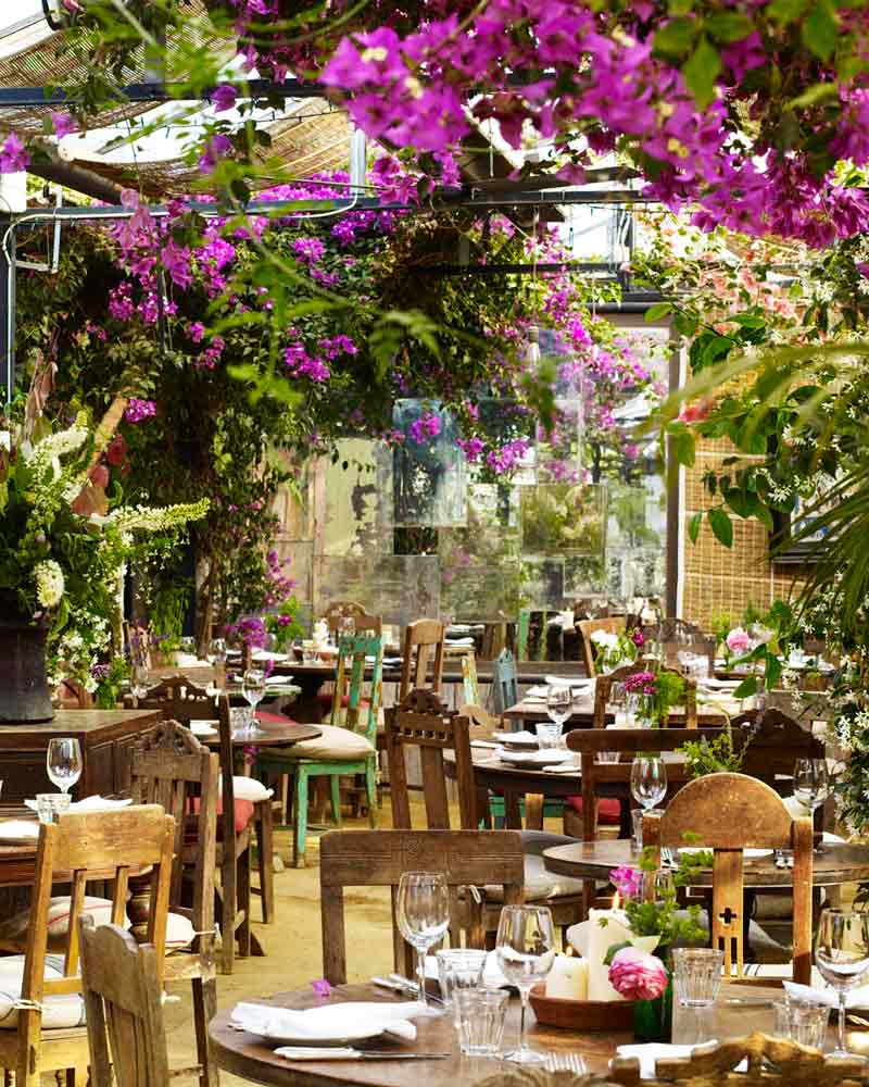 Petersham Nurseries. Where the EGG Is.