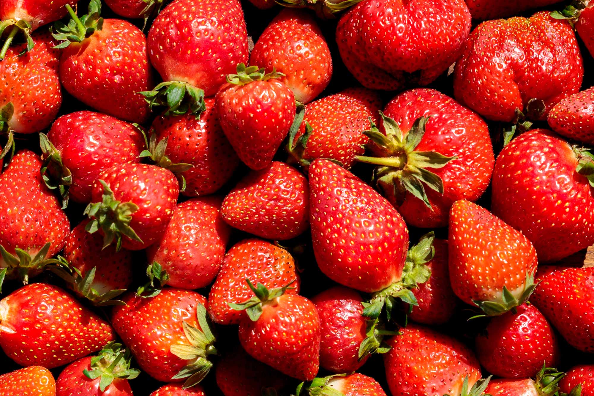 Strawberry