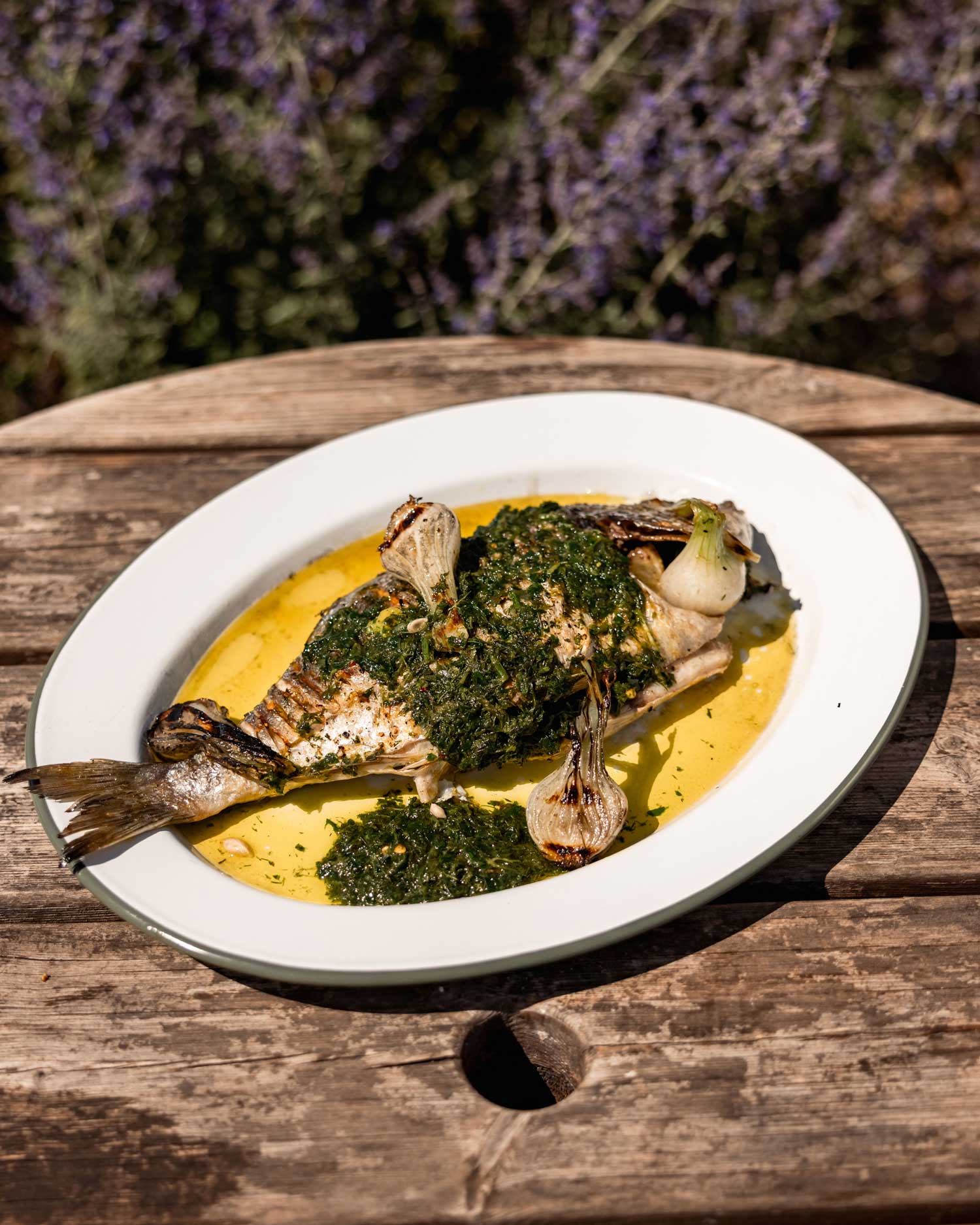 Phyl Corleone Mackerel