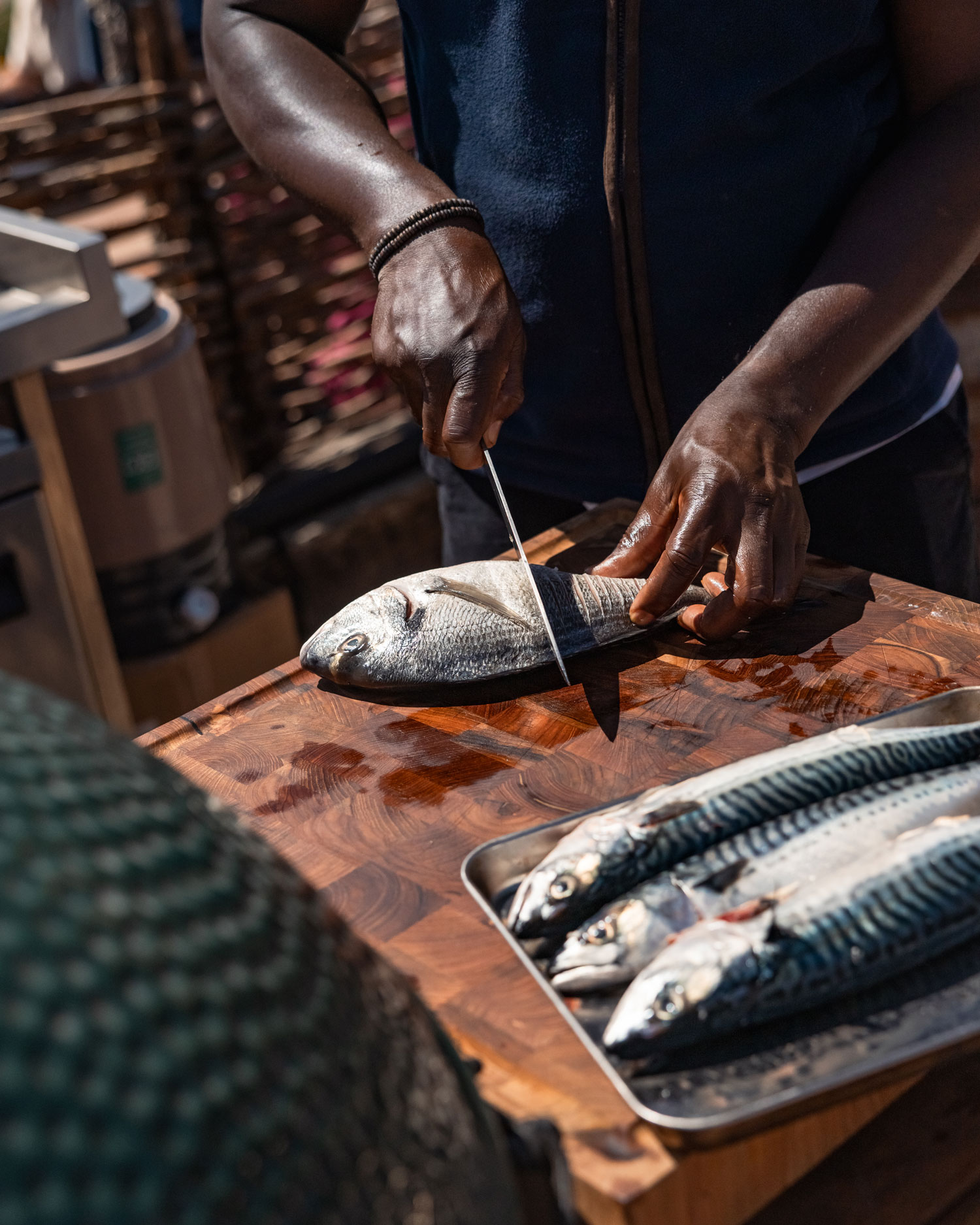 Phyl Corleone Mackerel
