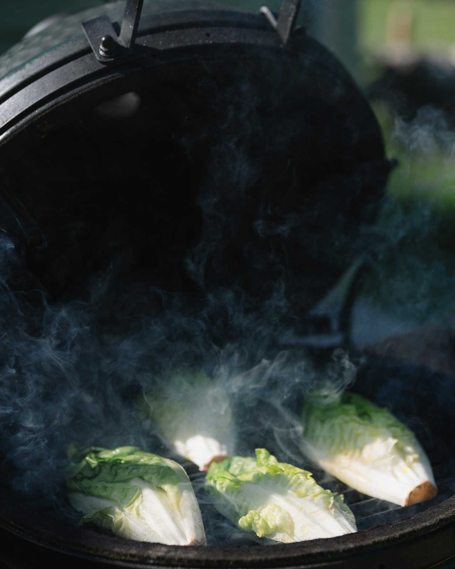 William Rhys Hamer Grilled Lettuce