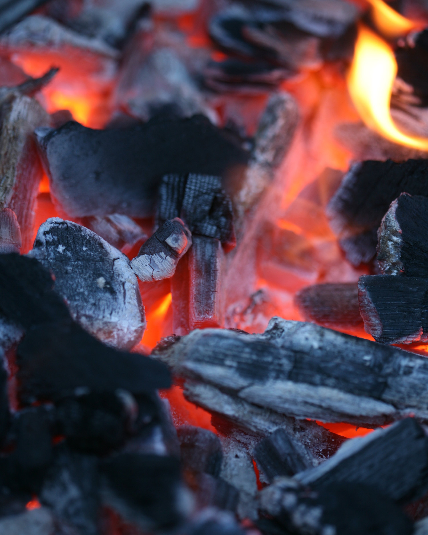 Club Charcoal Rewards