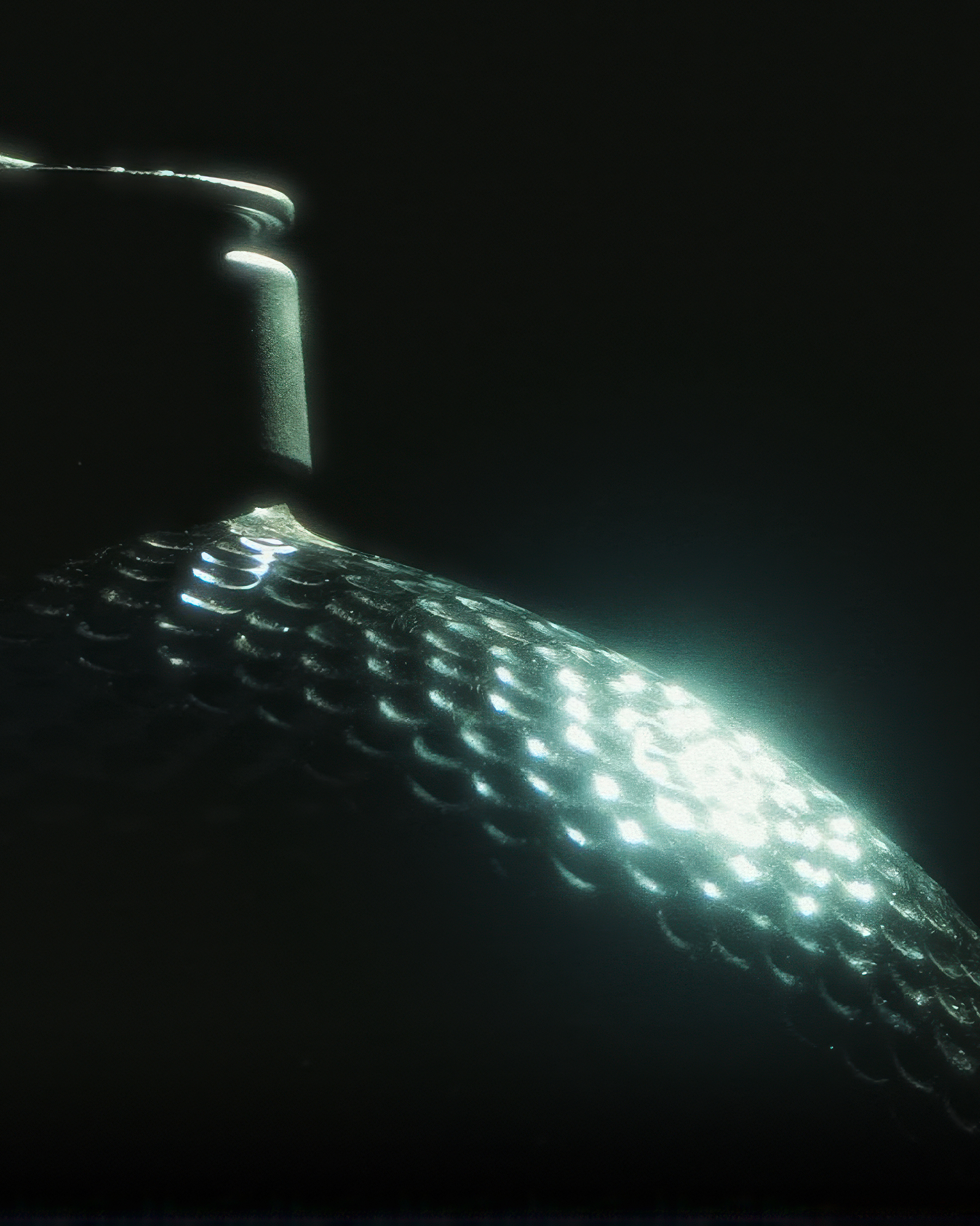 An Onyx EGG sparkling in the light
